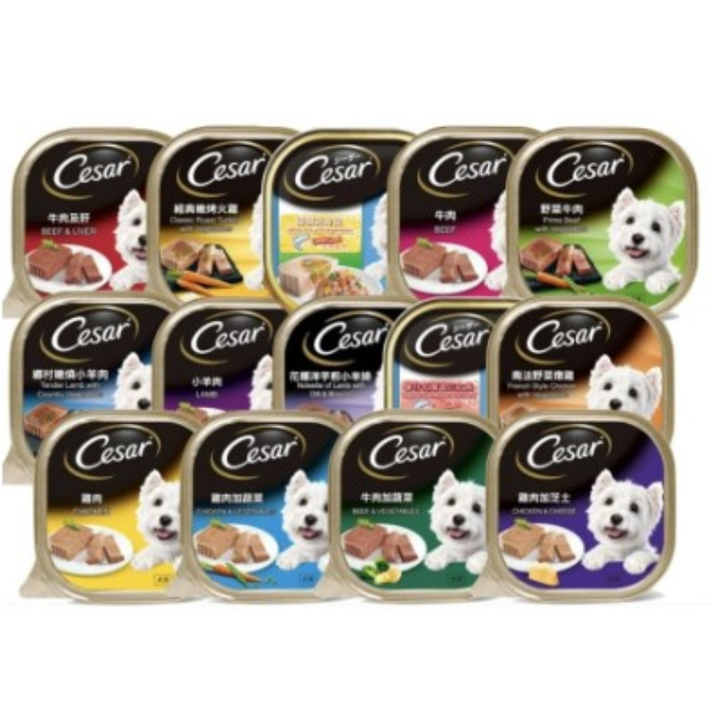  CESAR DOG WET FOOD 100G - Bundle of 24 Trays