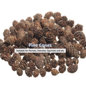 Pine Cone in Shell for Parrots, Hamster, Squirrel & etc