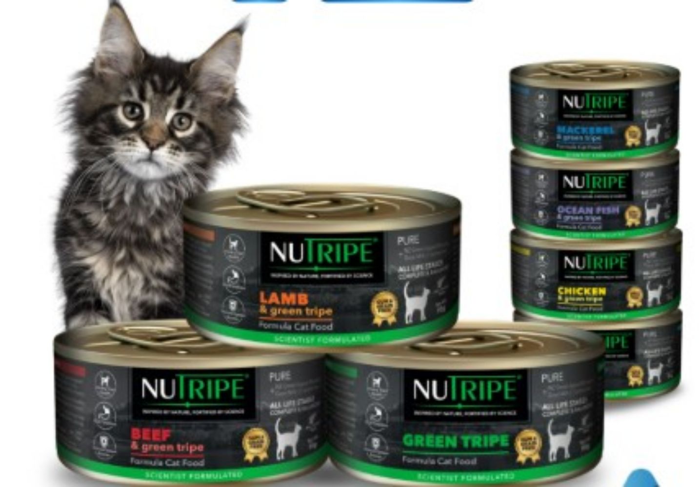  [MIXABLE/ 95g} Nutripe Pure Wet Cat Food - Grain-Free, Gum-Free | Nutritious & Delicious for Cats | Cat Wet Food