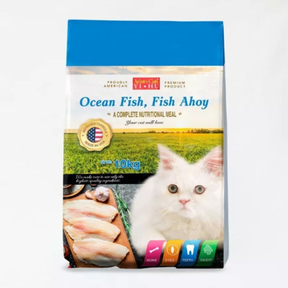 aquarium20251116_Y0qytH