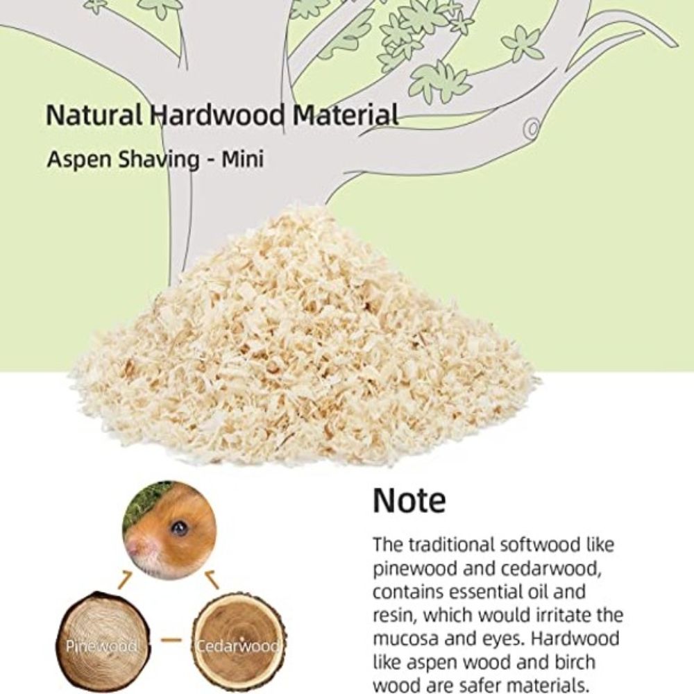 aquarium20251116_eoGwvt