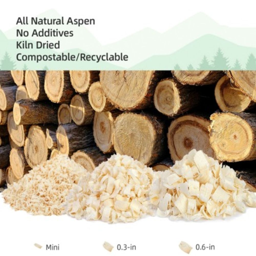 aquarium20251116_mrC2Ih